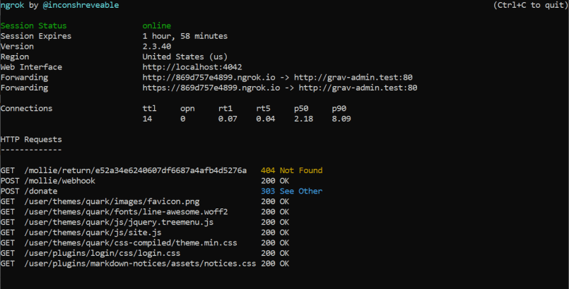 A view at the ngrok terminal window and a list of handled requests